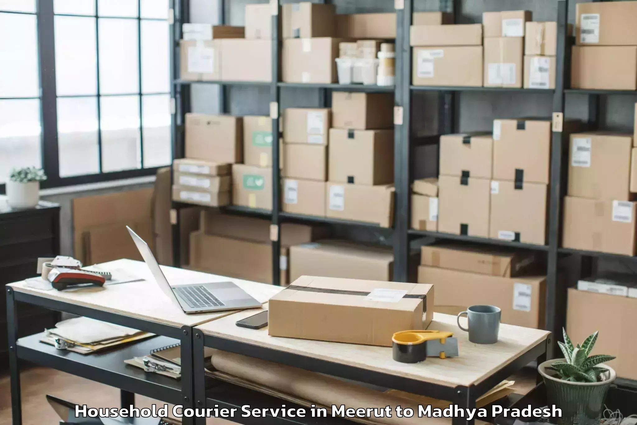 Professional Meerut to Khargone Household Courier